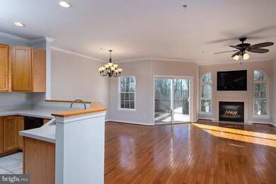 2596 Running Wolf Trail, Odenton, MD 21113 - photo 3