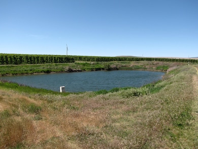 45402 N O'Brien Rd, Prosser, WA 99350 - photo 3