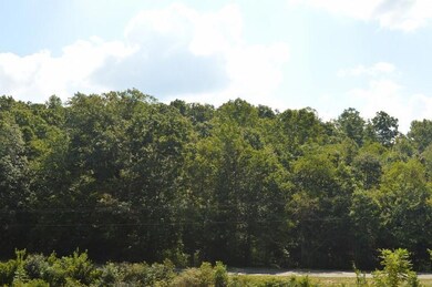 DSC_0306 (800x532)