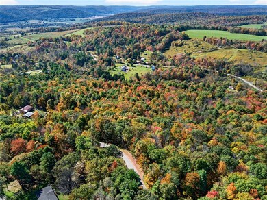 0 Honeypot Rd, Candor, NY 13743 - photo 6