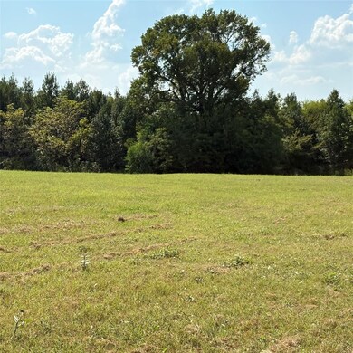 Tbd County Road 1226, Quitman, TX 75783 - photo 7