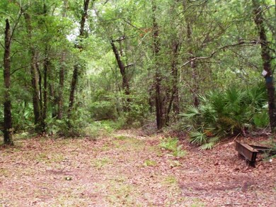 7) Trails thru Woods