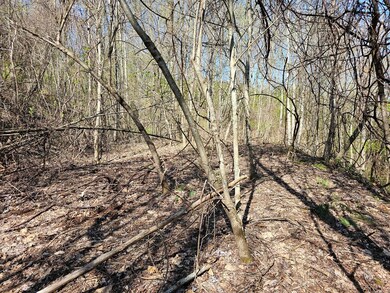 29A Timber Estates Rd, Charleston, NC 28713 - photo 2