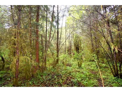 0 Slide Creek Rd unit 20124249, Longview, WA 98632 - photo 5