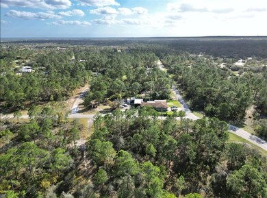 206 Suwannee Dr, Lake Placid, FL 33852 - photo 5