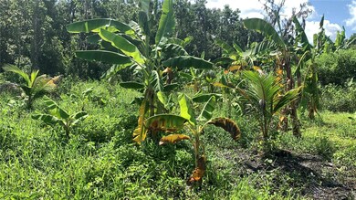 0 Sink Hole Rd unit MFRTB8408113, Bartow, FL 33830 - photo 7