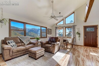 9910 Mountain Rd, Cascade, CO 80809 - photo 4