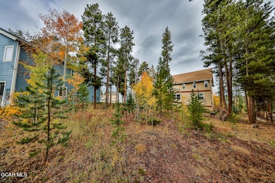 870 Ferret Ln, Fraser, CO 80442 - photo 2