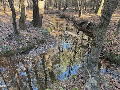 Lot 1 Willie Rd, Seagrove, NC 27341 - photo 5