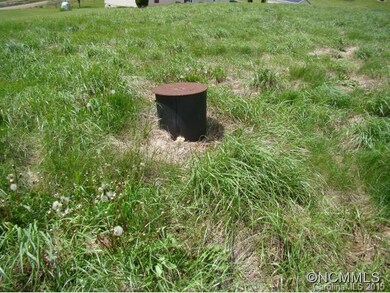 44 Frank Lawson Ln, Leicester, NC 28748 - photo 3