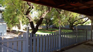 Backyard2