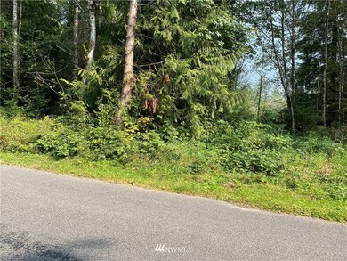 unlisted-address, Arlington, WA 98223 - photo 2