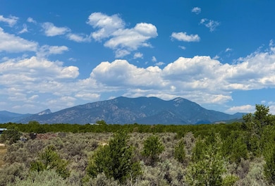 2008 Cottontail Rd, Taos, NM 87571 - photo 4