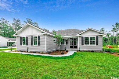 6903 Pauley Swamp Rd, Conway, SC 29527 - photo 3