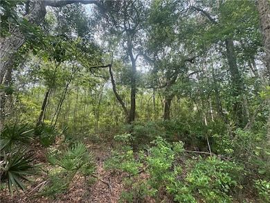 0 Manchester Place Rd, Townsend, GA 31331 - photo 7