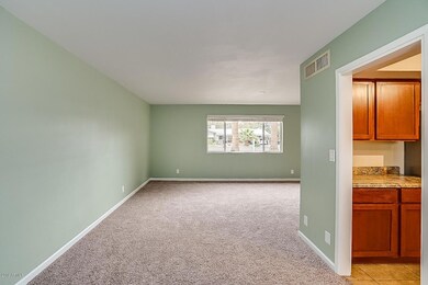 438 N Temple St, Mesa, AZ 85203 - photo 4