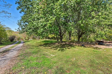 3828 U S 31w, Cottontown, TN 37048 - photo 4