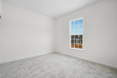 2308 Hank's Close unit 173 STB, Washington, MO 63090 - photo 6