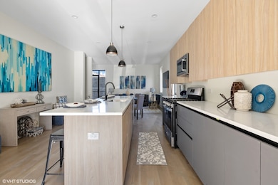 718 W 17th St unit 1W, Chicago, IL 60616 - photo 7