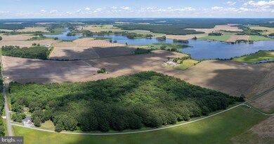 4425 Egypt Rd, Cambridge, MD 21613 - photo 5