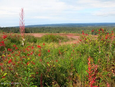 View of land