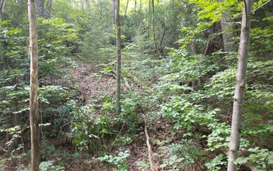 Additional View