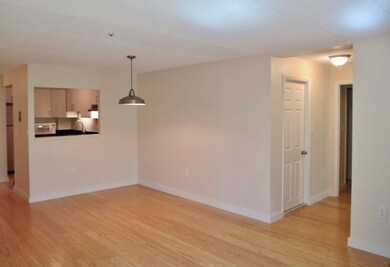 44 Concord Ave unit 303, Cambridge, MA 02138 - photo 4