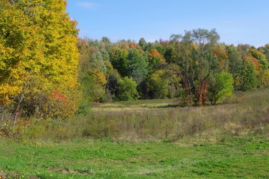 open field