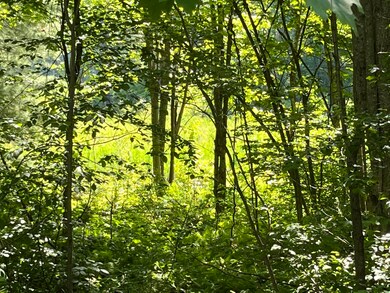 197 Harry Howes Rd, Sanford, ME 04073 - photo 7