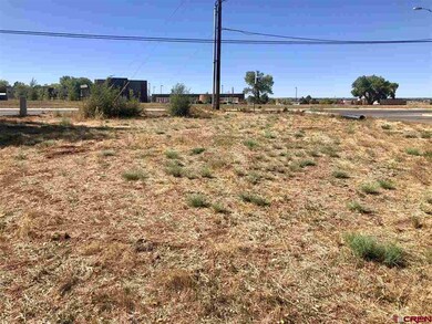 710 N Mildred Rd, Cortez, CO 81321 - photo 4
