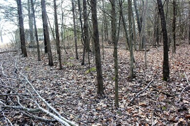 Lots toward Roadfront Lot