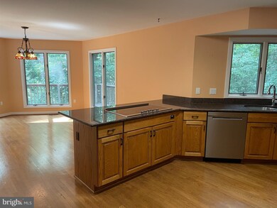 11579 Lake Newport Rd, Reston, VA 20194 - photo 3