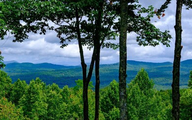 422 Channing Ridge Rd, Morganton, GA 30560 - photo 2