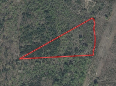 5 Acres Shiloh Church Rd, Nathalie, VA 24577 - photo 2