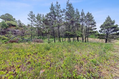Ground level view