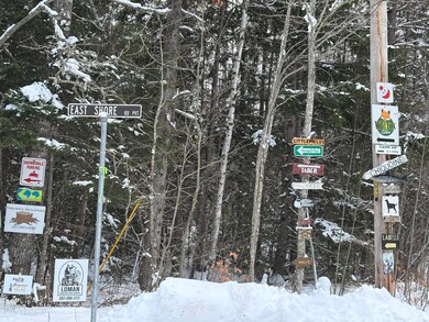 189 Horseshoe Cove Rd, Lakeville, ME 04487 - photo 5
