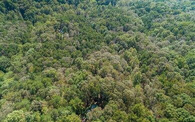 0 N Pine Rd unit 312420, Ellijay, GA 30536 - photo 2