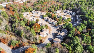 05_DJI_0032_copy_DxO_mls