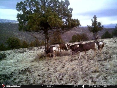 0 Shop Gulch unit 201804724, Mount Vernon, OR 97865 - photo 3