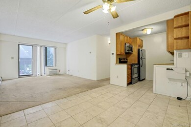 Halstead Plaza unit 2e, Harrison, NY 10528 - photo 5