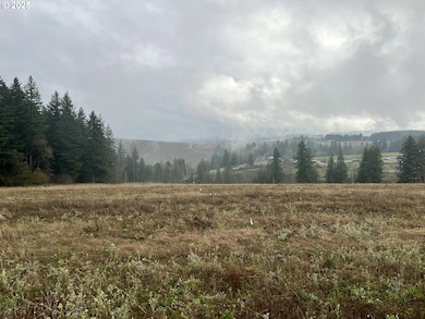 23129 SW Jaquith Rd, Newberg, OR 97132 - photo 5