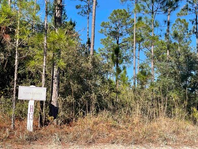 0 Hidden Horse Way unit 393992, Tallahassee, FL 32305 - photo 5