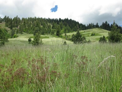 Valley view