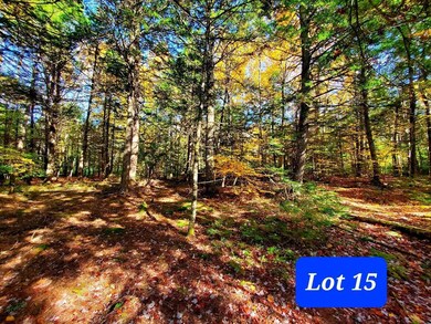 proposed Lot 15