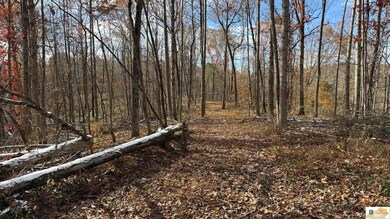 0 Gaddie Cottrell unit SC47484, Bonnieville, KY 42713 - photo 7