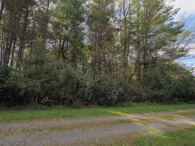 TBD Blue Lake Ln, Laurel Fork, VA 24352 - photo 6