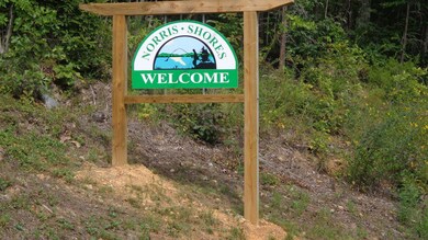 0 L- 258 Big Ridge Point unit 1013384, Sharps Chapel, TN 37866 - photo 6