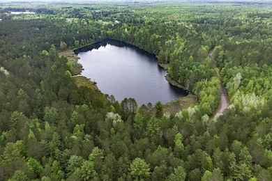 Lot 21 Whitetailed Deer Dr, Tomahawk, WI 54487 - photo 3