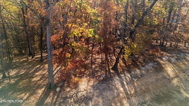 dji_20251112101044_0765_d