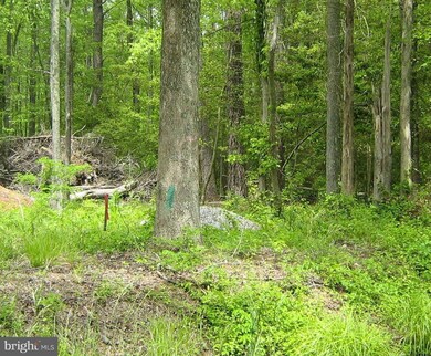 8 Latane Dr, Colonial Beach, VA 22443 - photo 5